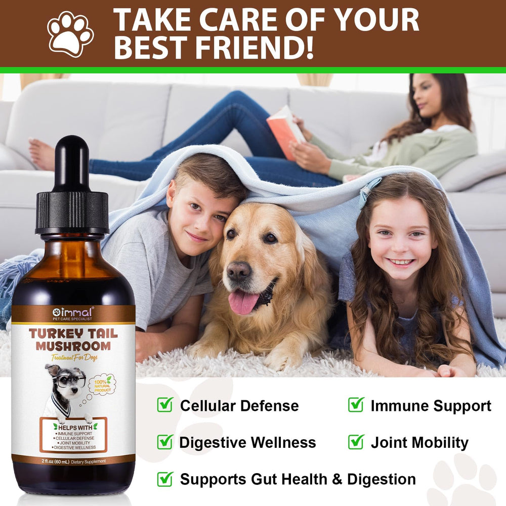 QwsYaay hongo cola de pavo para perros, cúrcuma para movilidad y antioxidantes.