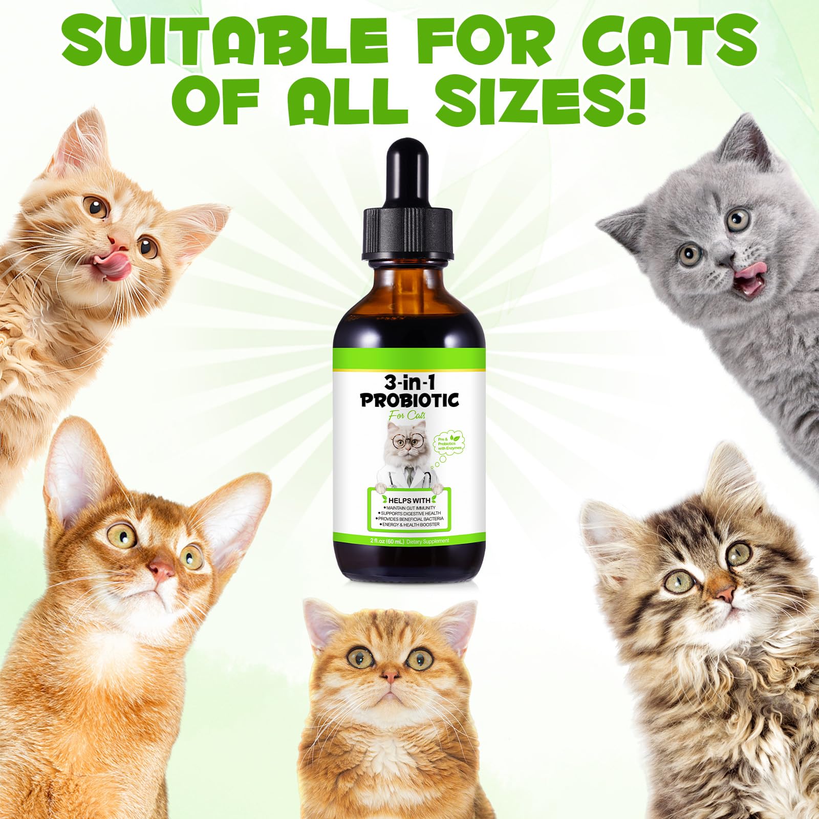 QwsYaay Probiotico para Gatos: bienestar e inmunidad como objetivo posible.