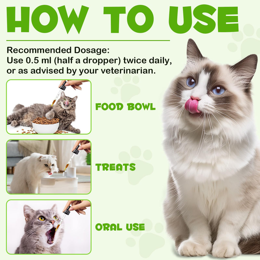 QwsYaay Probiotico para Gatos: uso diario sencillo para el plan de cuidado.