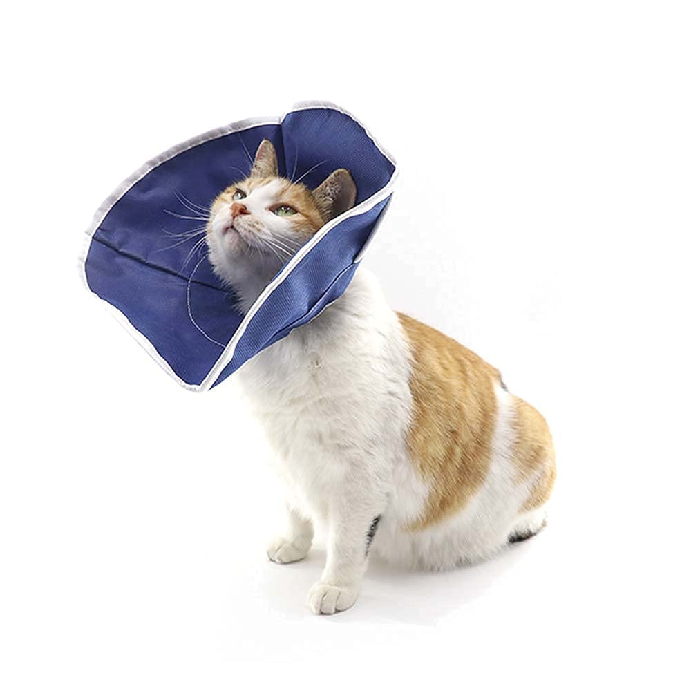 QIYADIN collar para gato descanso: silencio y comodidad durante reposo.