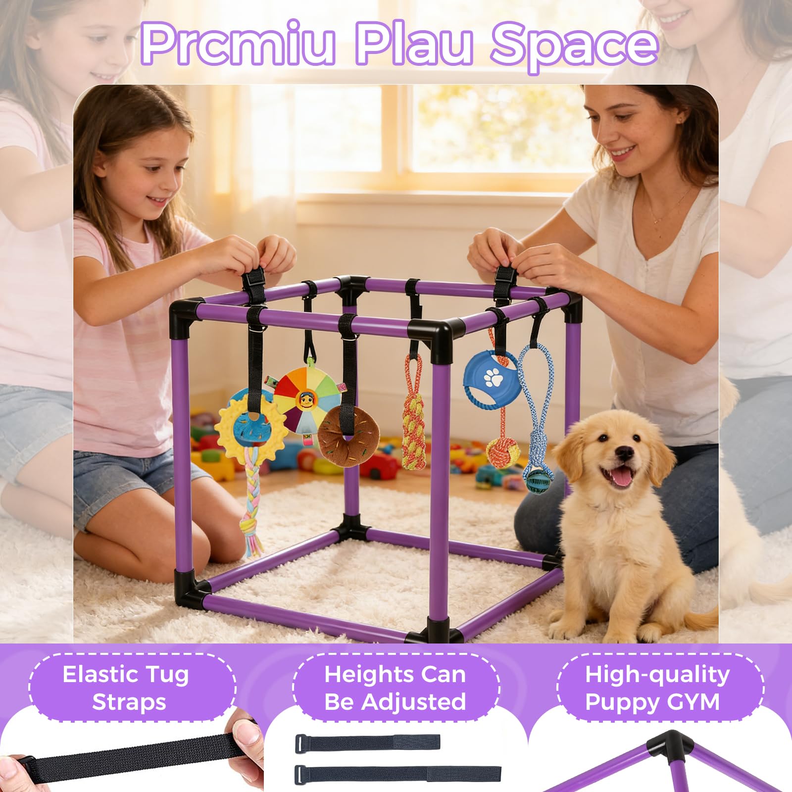 Qyswskj frisbee-perro-dentro: juego activo en interiores para creatividad.