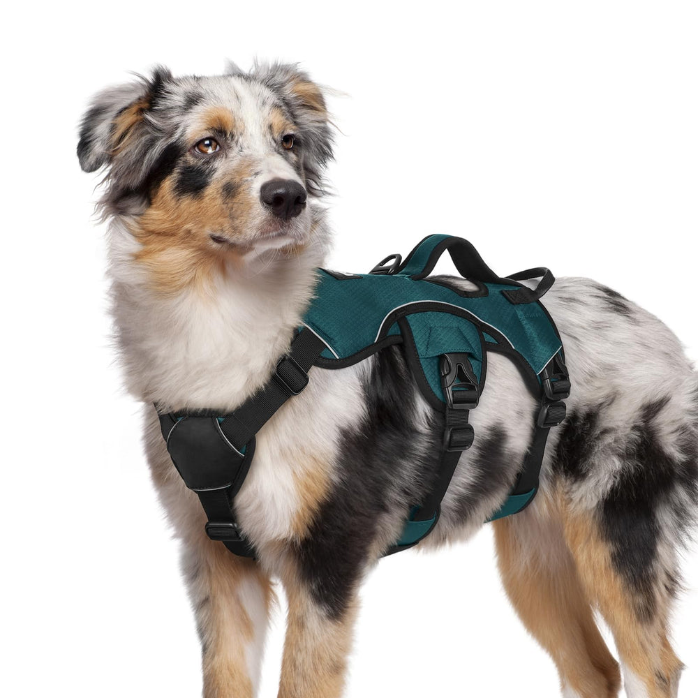 Arnés rabbitgoo anti-escape para perro mediano en verde oscuro, seguridad en paseos.