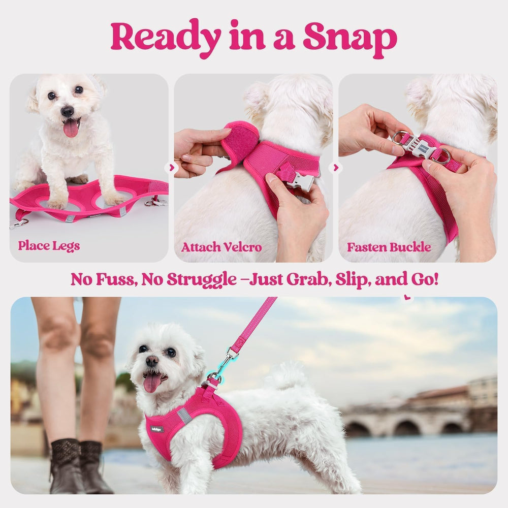 Arnés Rabbitgoo diseño ergonómico para seguridad y comodidad del perro.