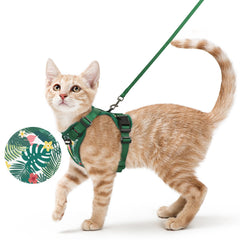 Arnés rabbitgoo para gatos con ajuste cómodo para paseos.