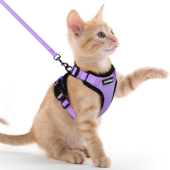 Arnés Rabbitgoo para gato con ajuste cómodo y seguridad en paseos