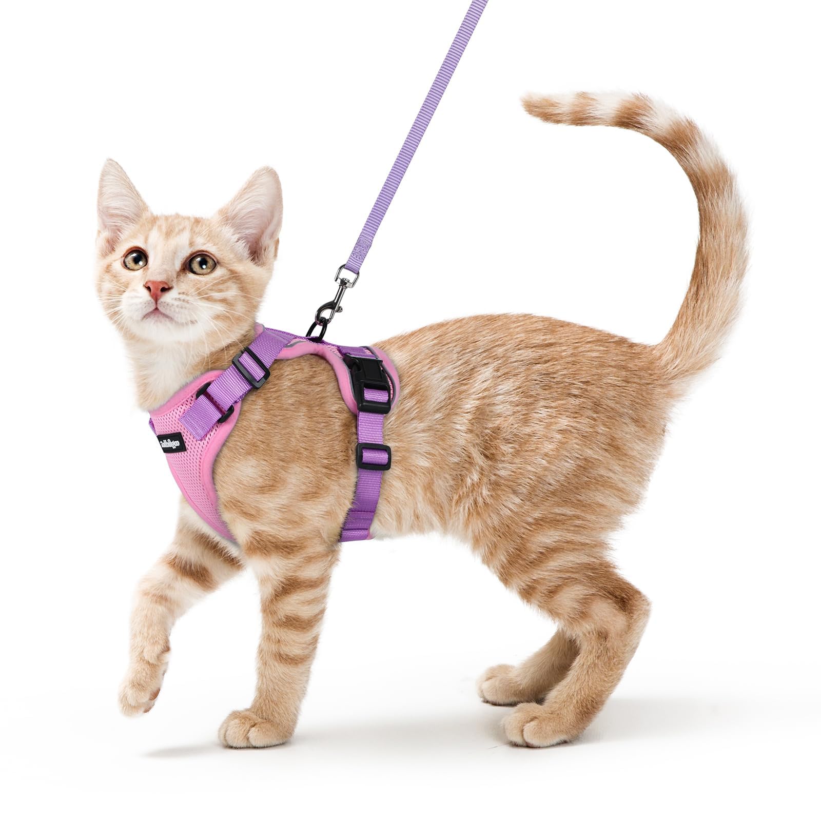 Arnés Rabbitgoo con ajuste ergonómico para gato, comodidad segura en cada paseo.