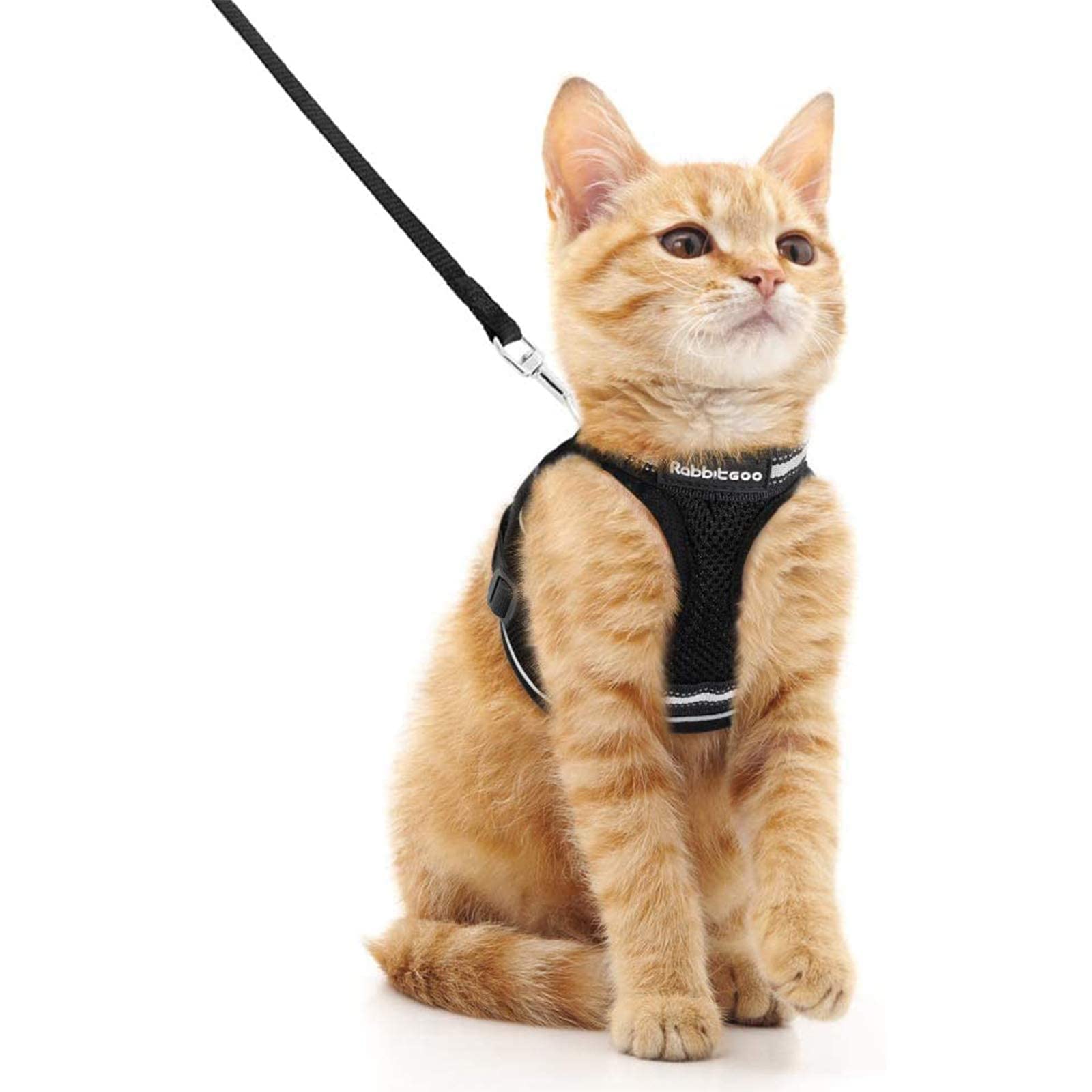 Arnés para gato Rabbitgoo con malla transpirable para paseo cómodo