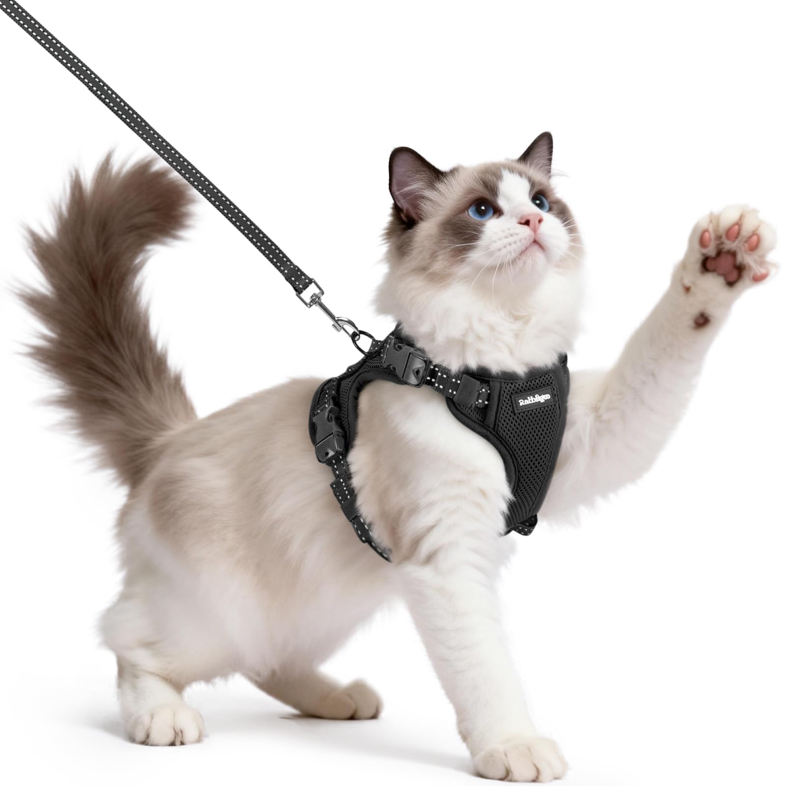 Arnés Rabbitgoo para gatos con hebillas de ajuste triple para un ajuste seguro.