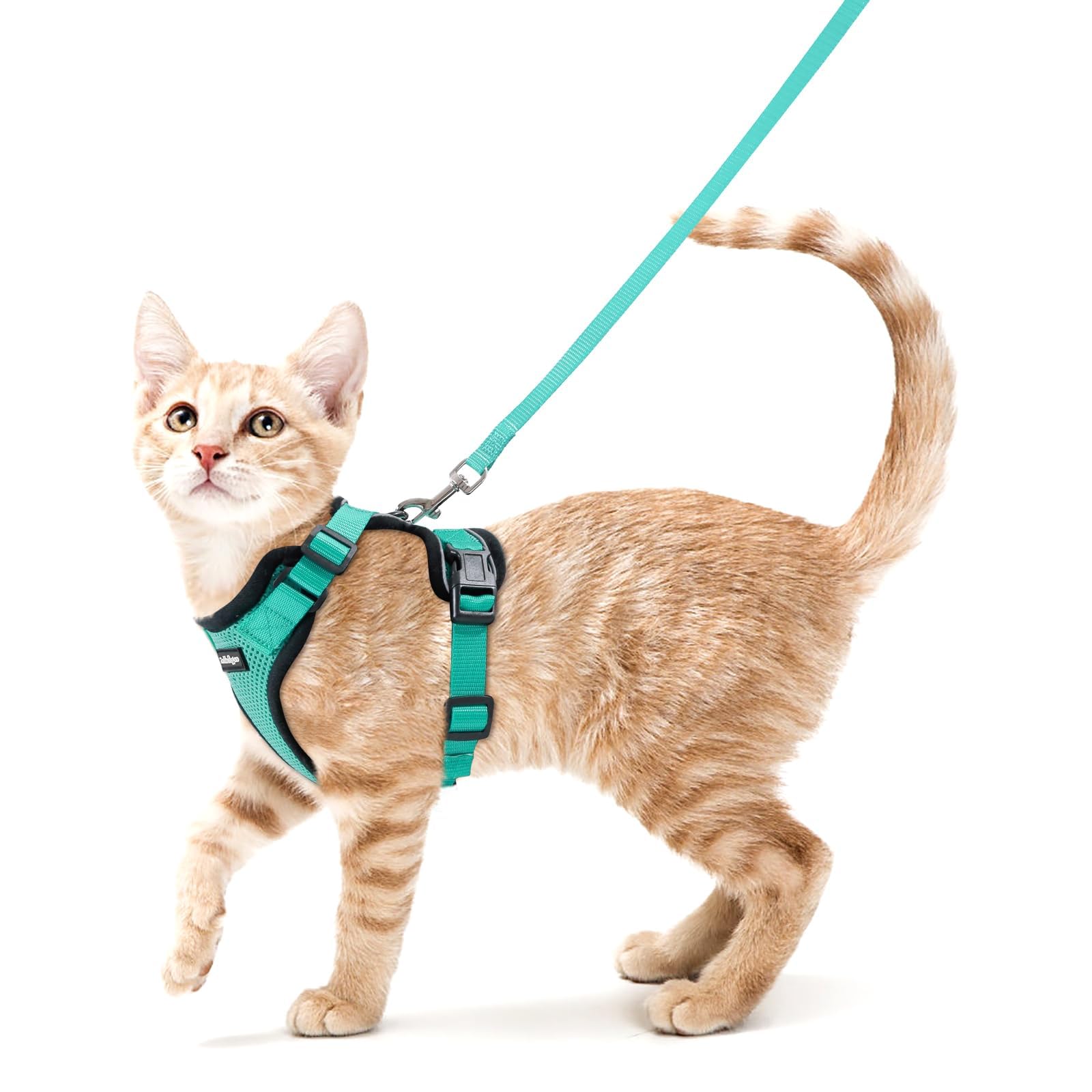 Arnés Rabbitgoo para gato con malla de aire Esmeralda y ajuste cómodo.