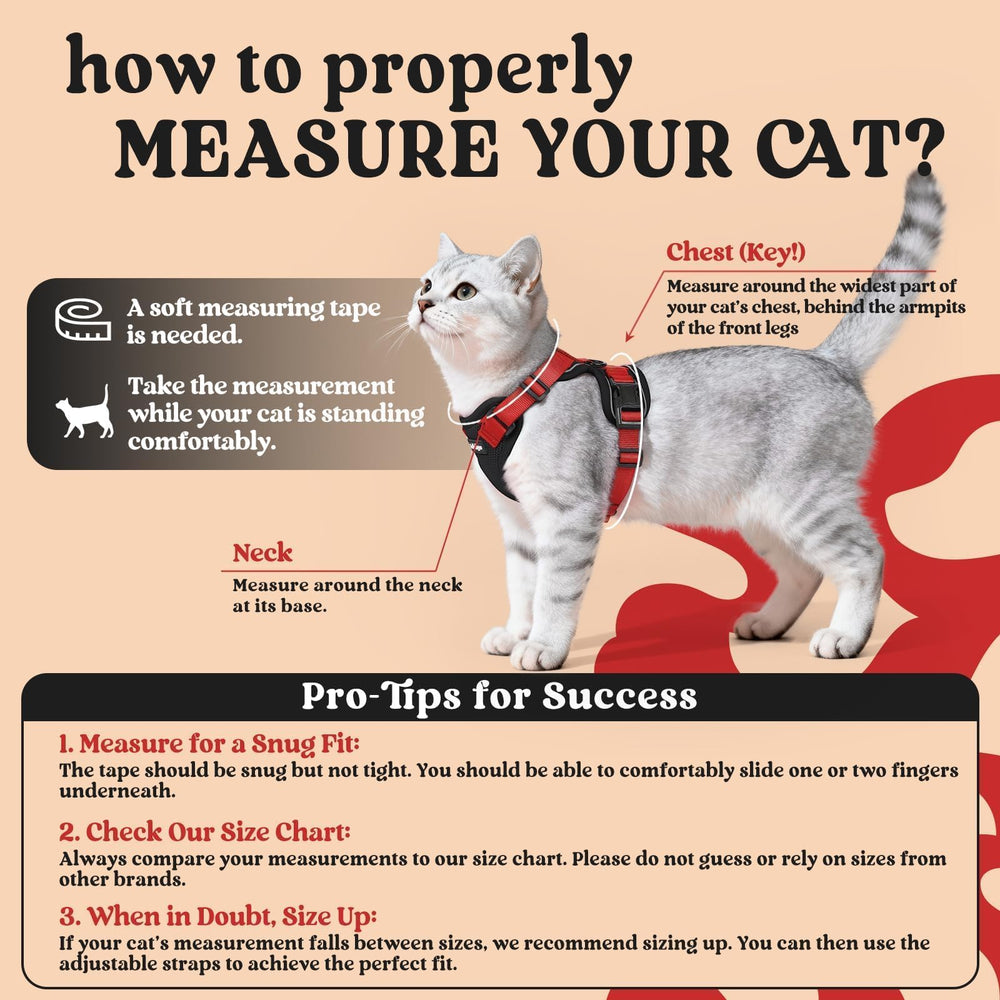 Gato con arnés Rabbitgoo y malla de aire que ventila.