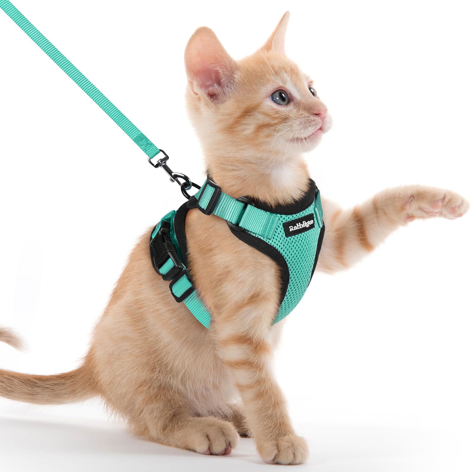 Arnés rabbitgoo para gato con malla de aire, paseos frescos y cómodos.