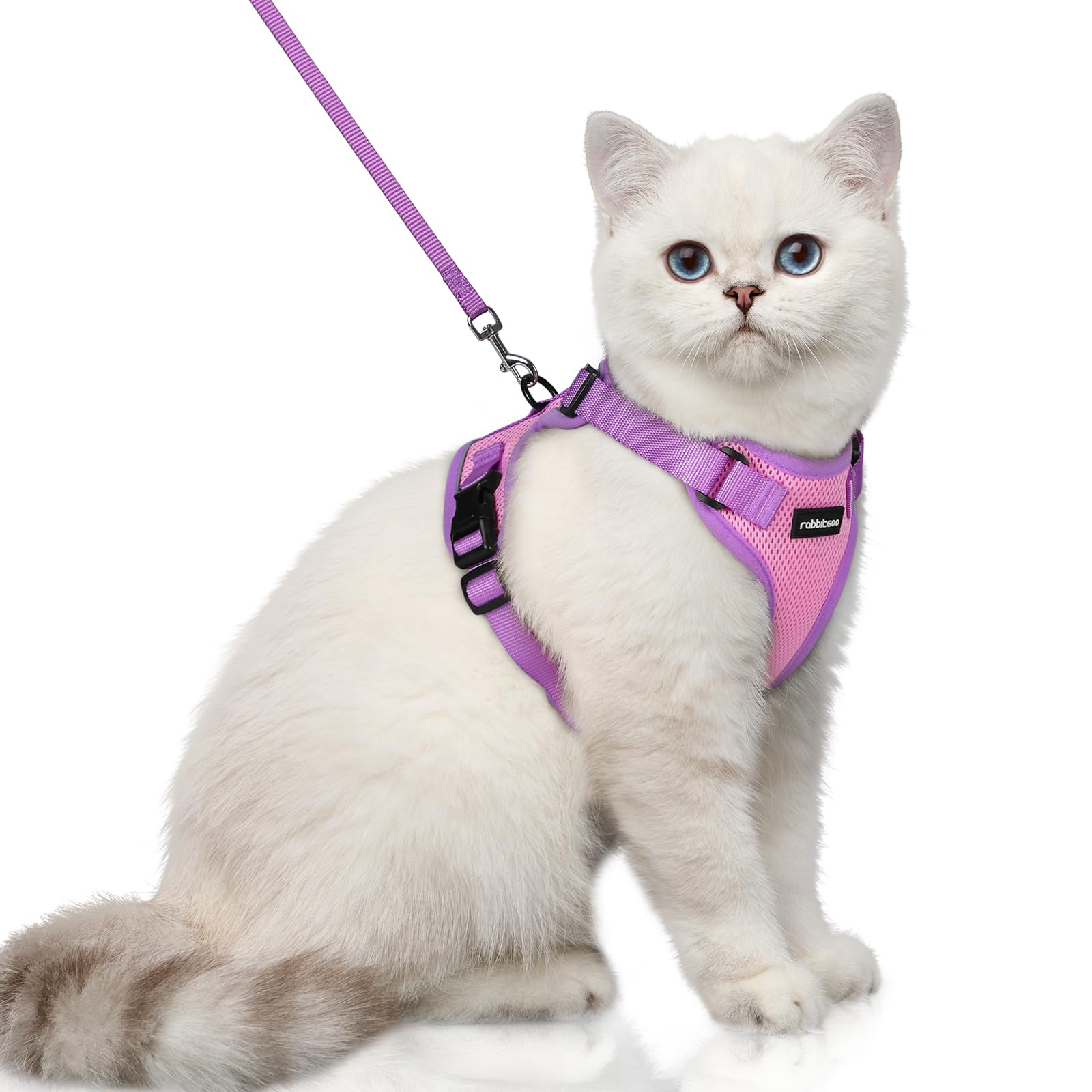 Arnés Rabbitgoo para gato, vista frontal, ajuste cómodo para paseos seguros.