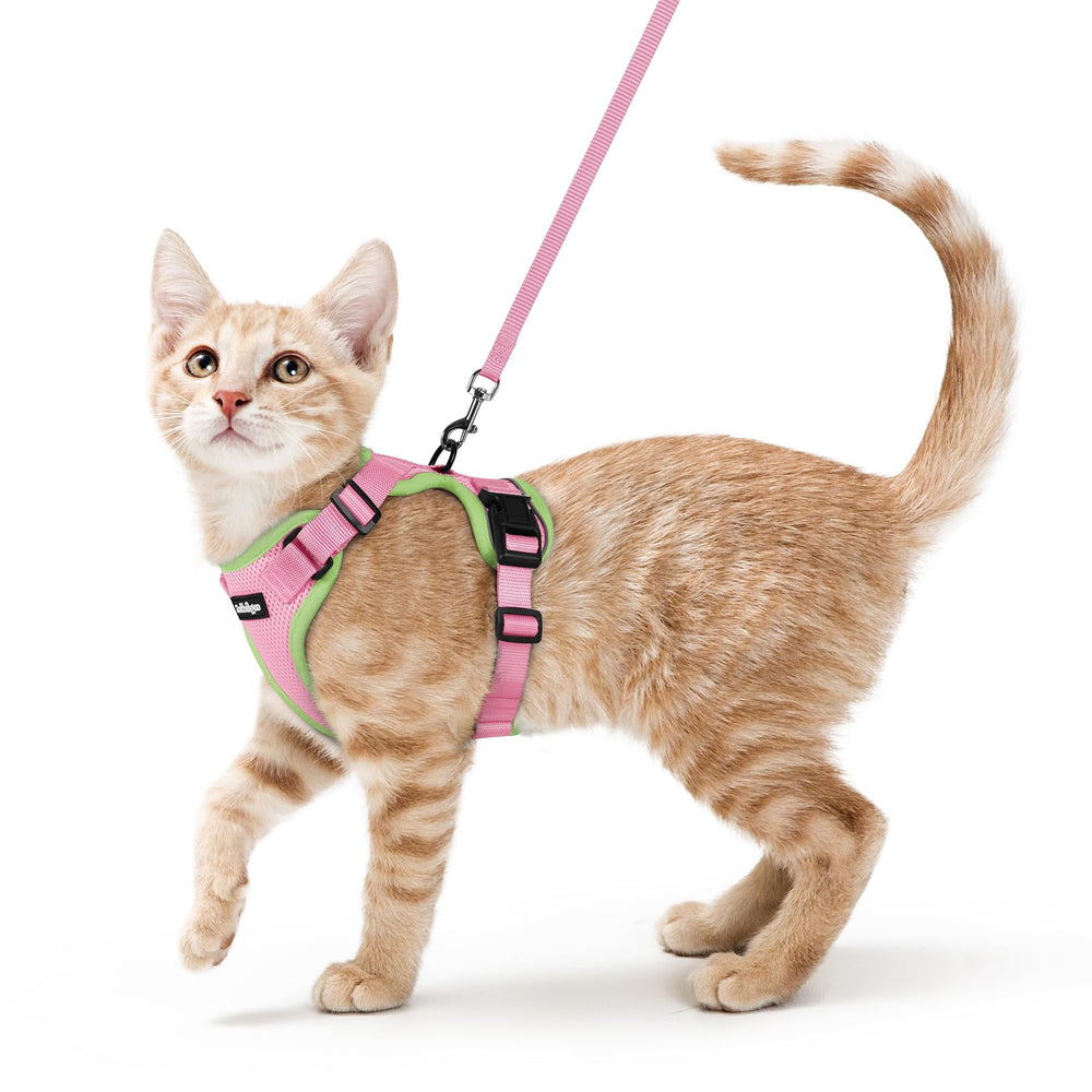 Arnes Rabbitgoo para gato durante el paseo con ajuste ergonomico