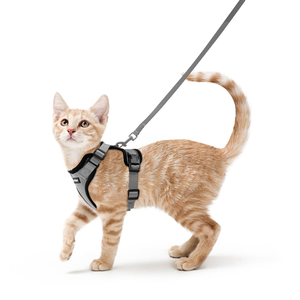 Arnés Rabbitgoo para gato con malla respirable, paseos cómodos.