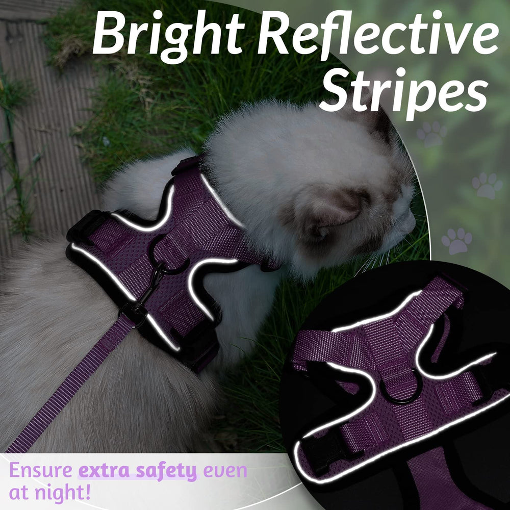 Arnés rabbitgoo-arnes-gato-uso-exterior ideal para salidas