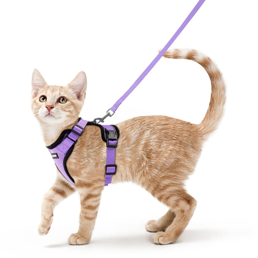 Arnés rabbitgoo-arnes-gato-vest-ajuste para paseos seguros