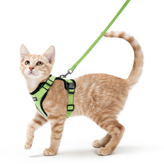Arnés rabbitgoo para gatos a prueba de salidas para paseos seguros