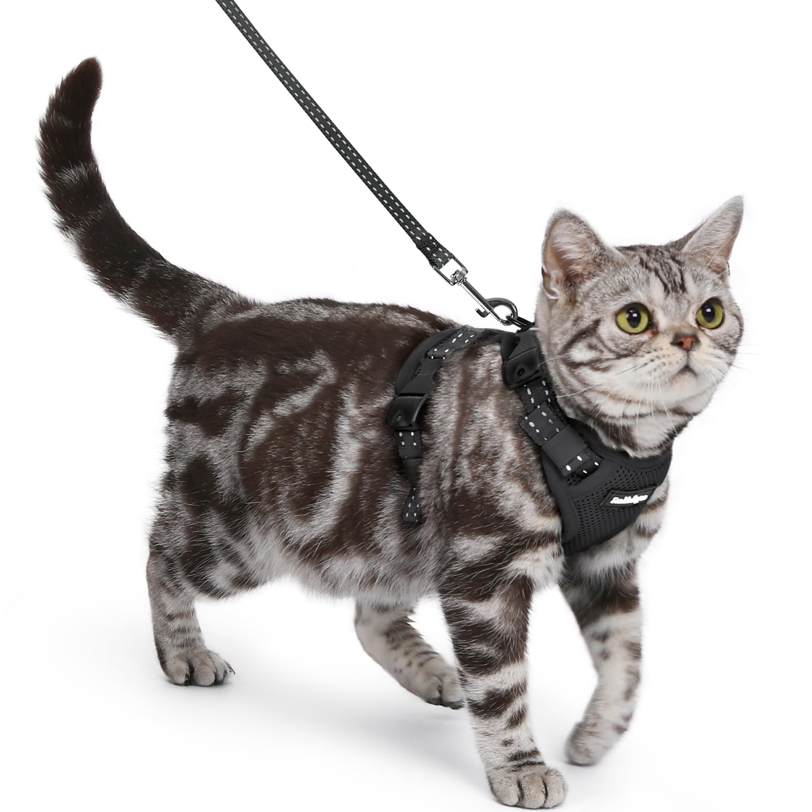 Arnés Rabbitgoo para gatos con ajuste perfecto para paseos seguros