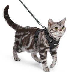 Arnés Rabbitgoo para gatos con ajuste perfecto para paseos seguros