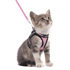 rabbitgoo arnés para gatos con malla transpirable y acolchado suave para mayor comodidad.