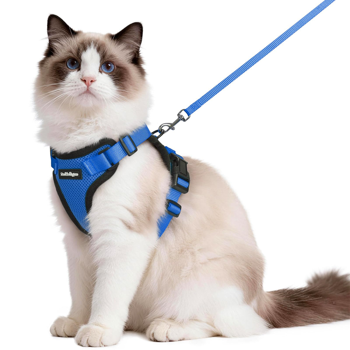 rabbitgoo chaleco para gatos transpirable de malla para paseos cómodos
