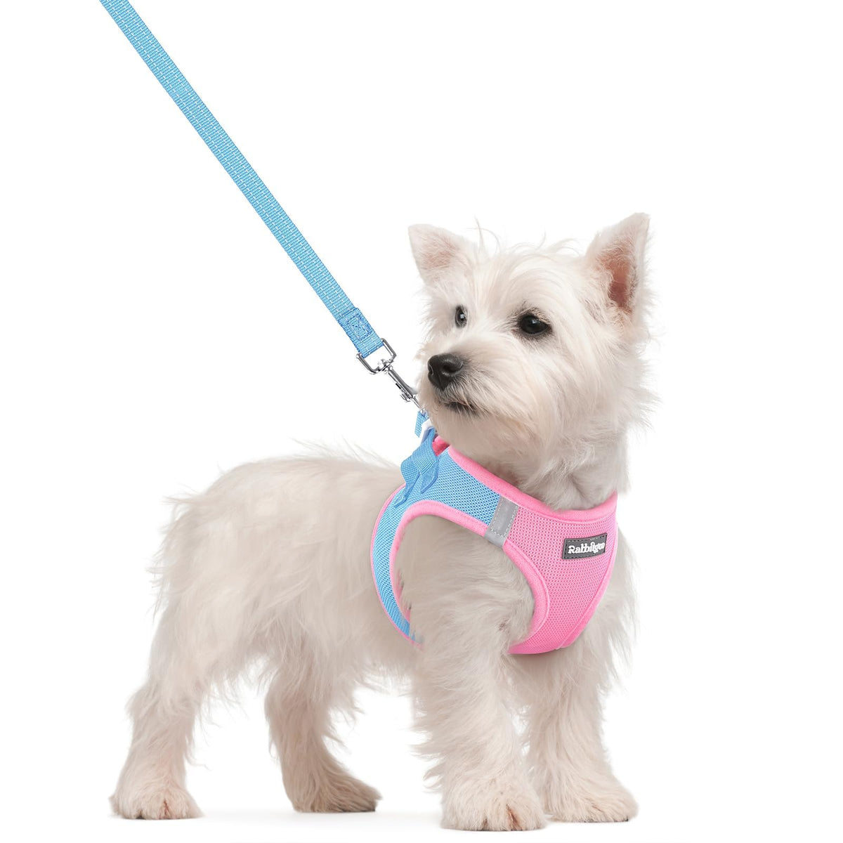 Arnés Rabbitgoo de malla transpirable para perros pequeños, cómodo para paseos largos.