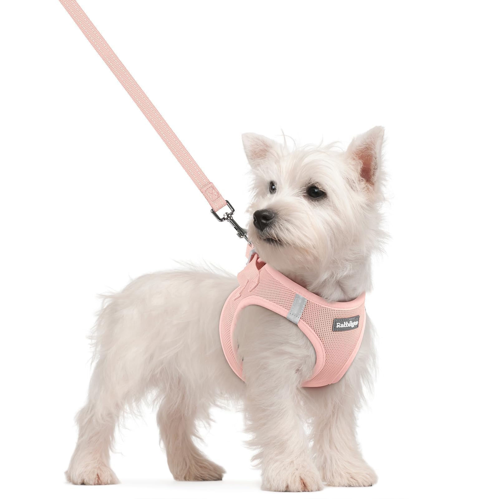 Arnés Rabbitgoo paso para perro pequeño en rosa cómodo y fácil de colocar