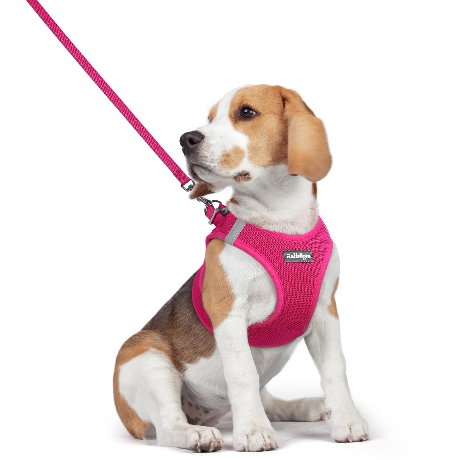 Arnés Step-In Rabbitgoo para perro, fácil de colocar y cómodo para paseos.