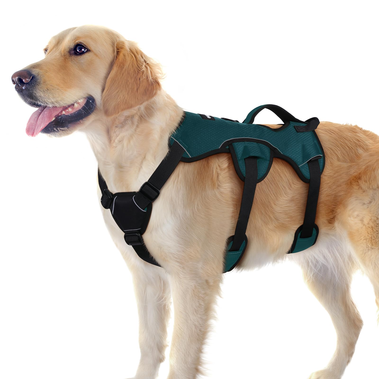 Arnés Rabbitgoo a prueba de fuga para perros grandes, seguridad en paseos.