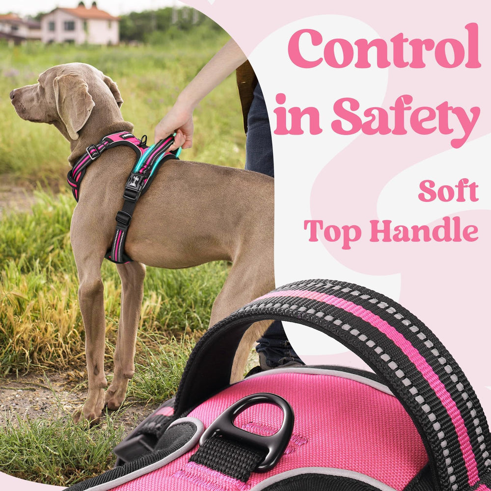 Arnés Rabbitgoo asa de control superior para manejo cómodo