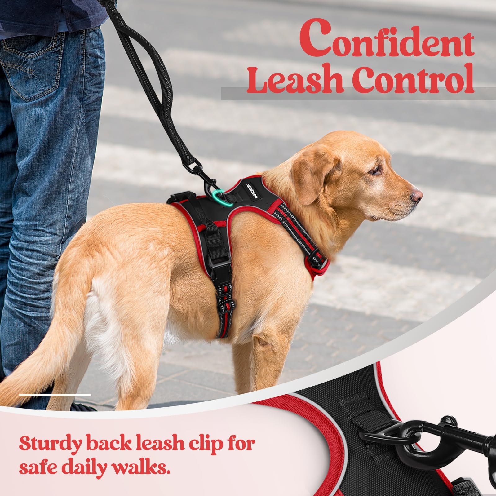 Arnés Rabbitgoo con asa de control superior para manejo cercano.