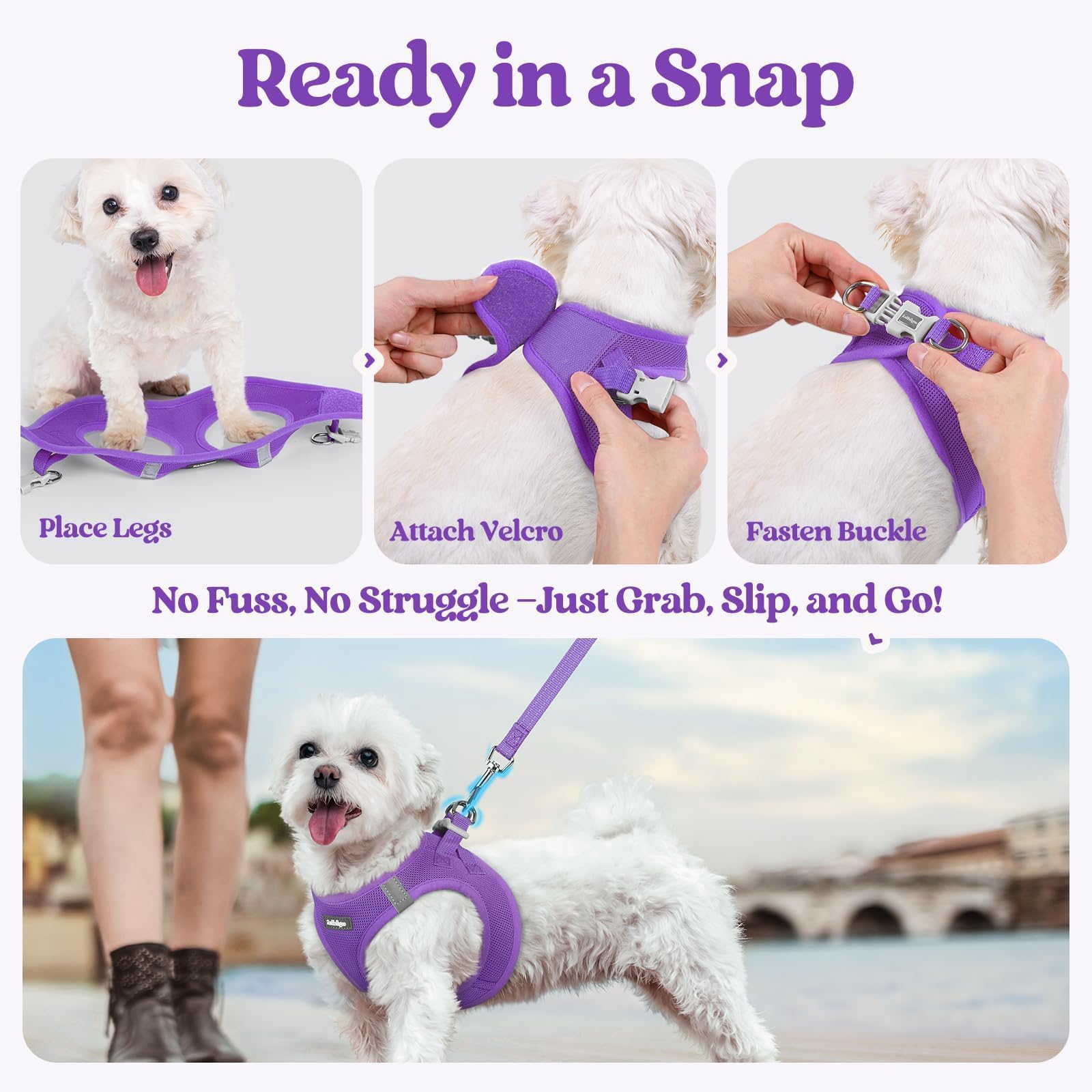 Arnés Rabbitgoo en morado, cómodo y práctico para razas pequeñas.