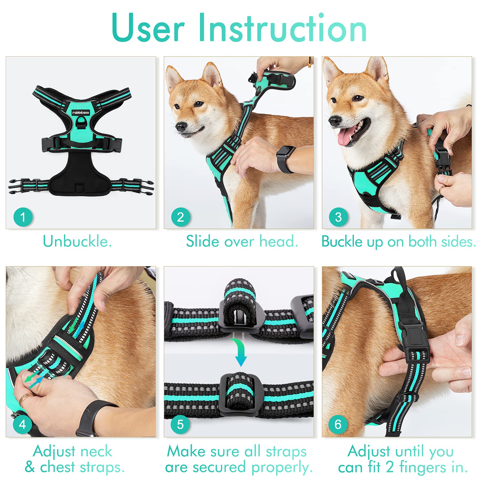 Arnés Rabbitgoo diseño medio de talla M en turquesa para perros medianos