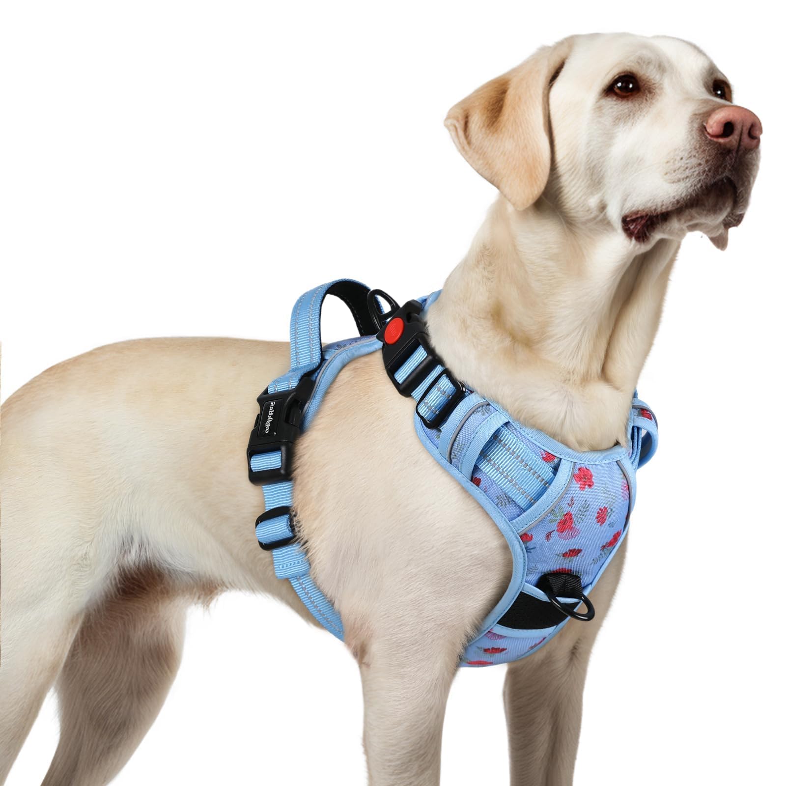 Arnés Rabbitgoo para perros grandes con 3 hebillas, ajuste seguro para paseos diarios.