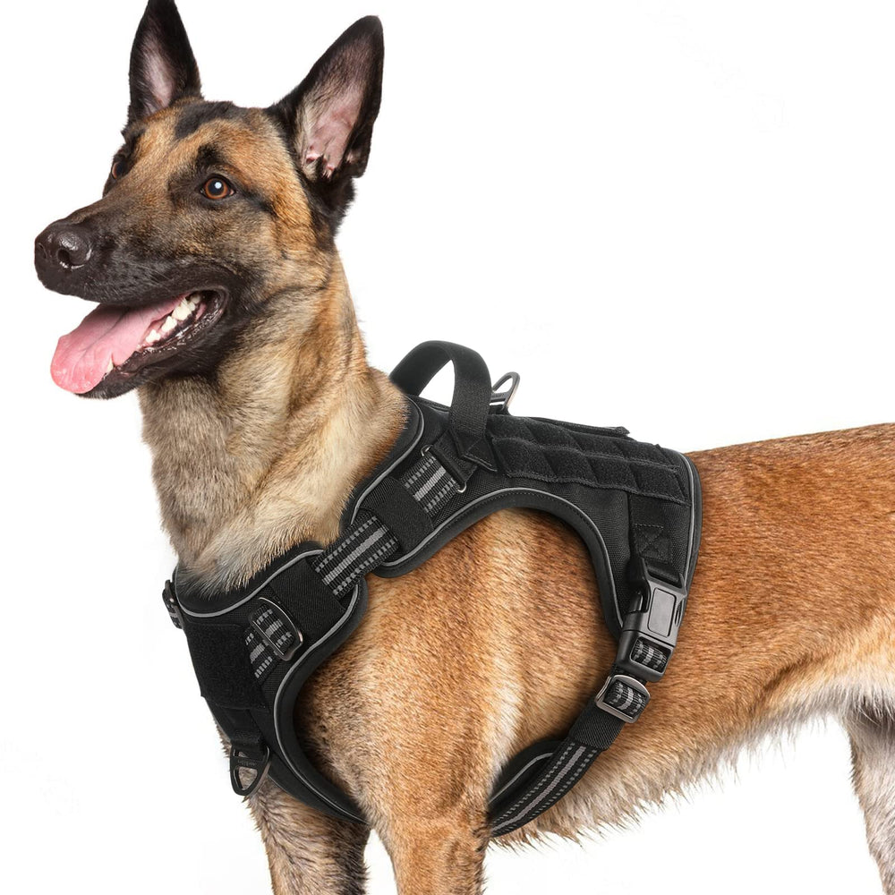Arnés Rabbitgoo para perros grandes con ajuste amplio para comodidad diaria.