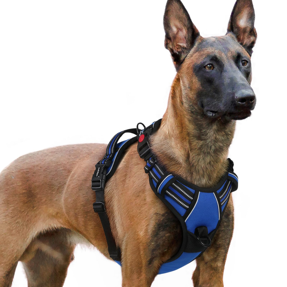 Arnés rabbitgoo para perro grande con ajuste de cuatro correas para libertad de movimiento