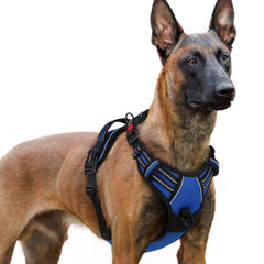 Arnés rabbitgoo para perro grande con ajuste de cuatro correas para libertad de movimiento