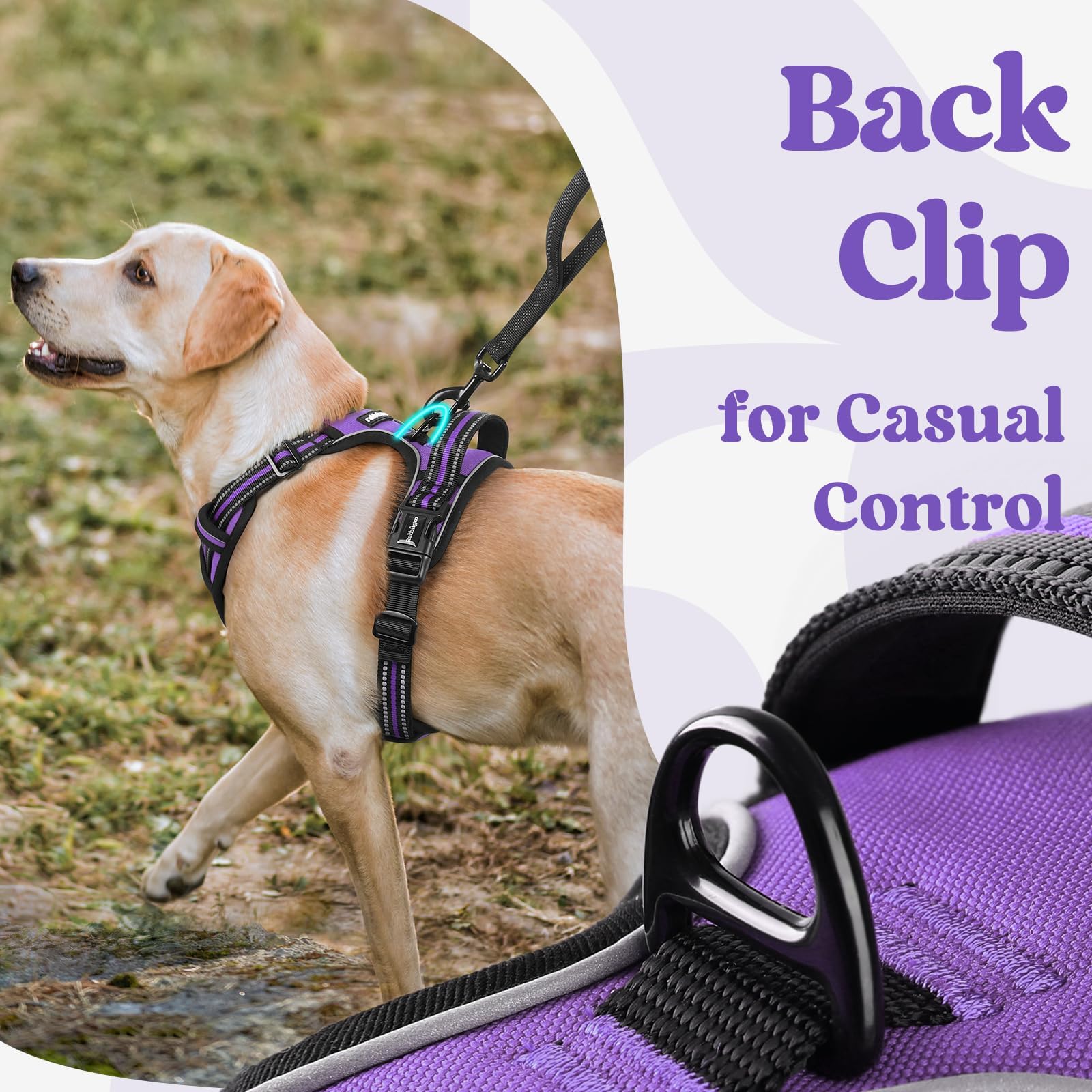 Rabbitgoo arnés con asa de control ergonómica para manejo suave