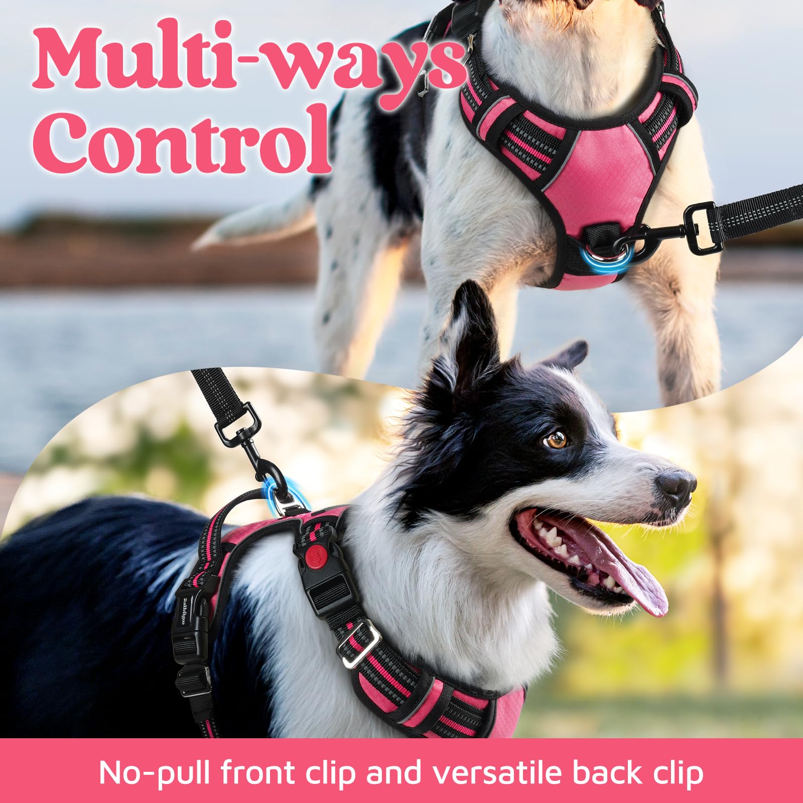 Asa de control Rabbitgoo para manejo seguro durante paseos