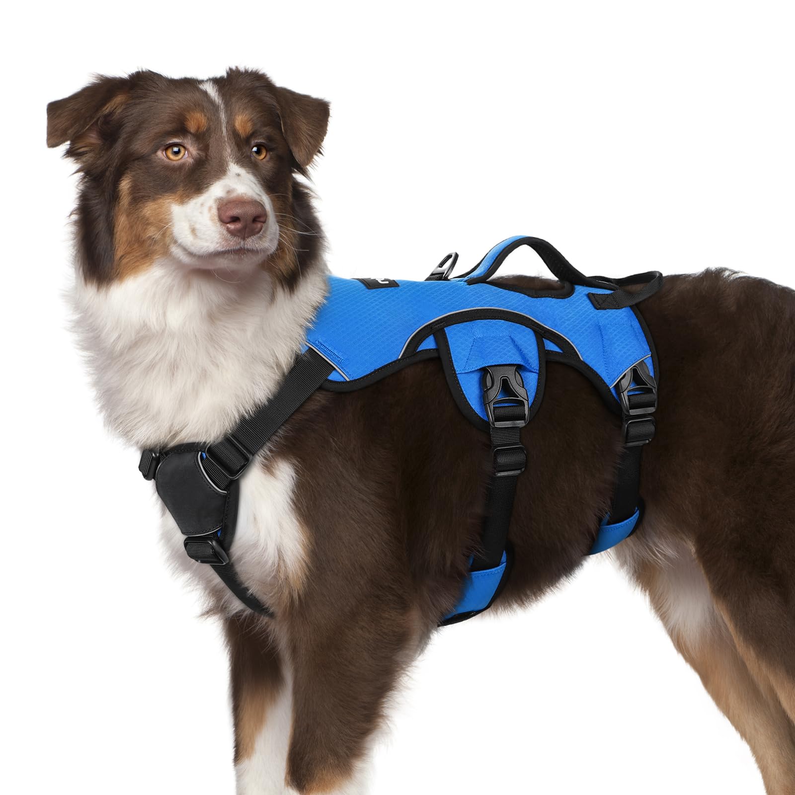 Arnés rabbitgoo para perros grandes con asa de elevación para asistencia