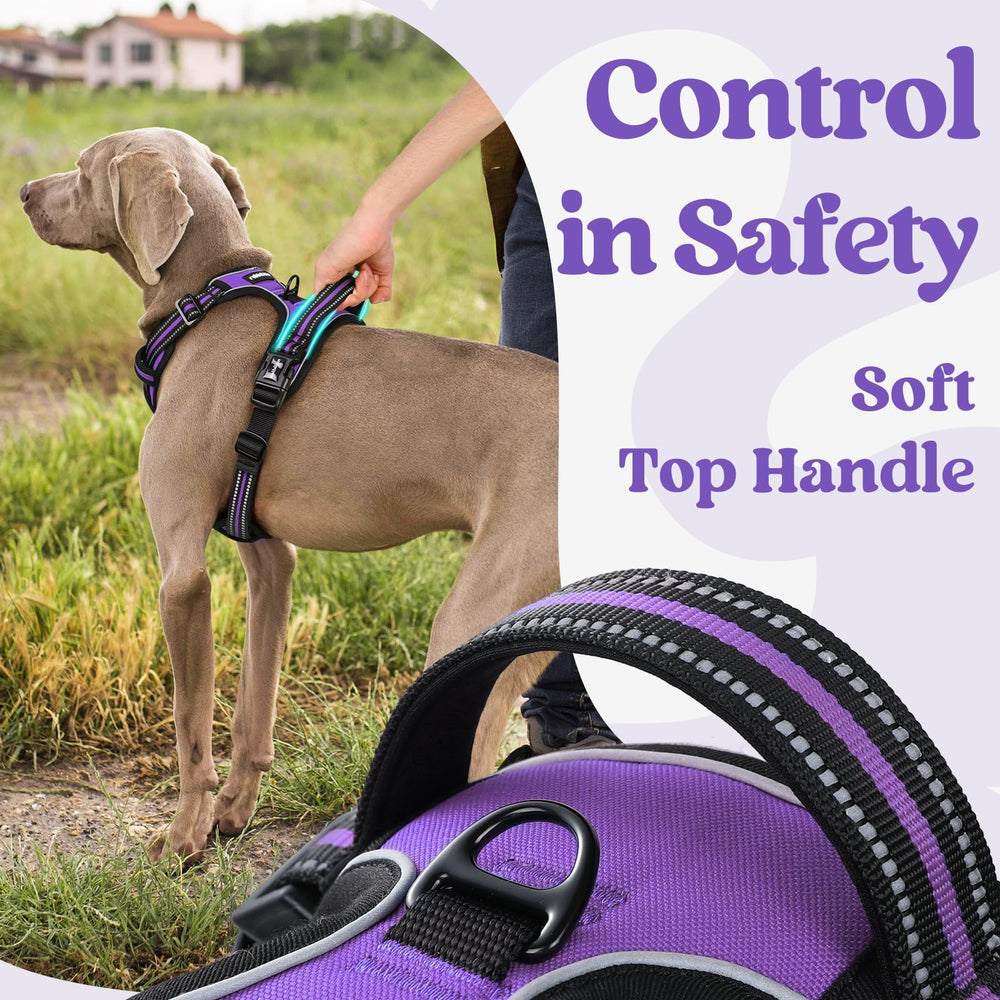 Rabbitgoo arnés para perro grande con asa superior ergonómica