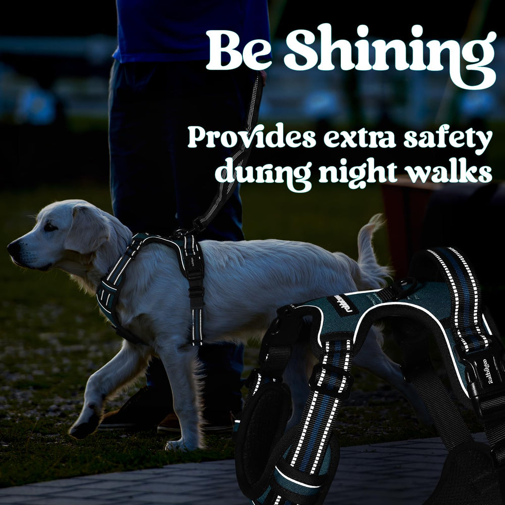 Diseño ergonómico para perros grandes y cómodo