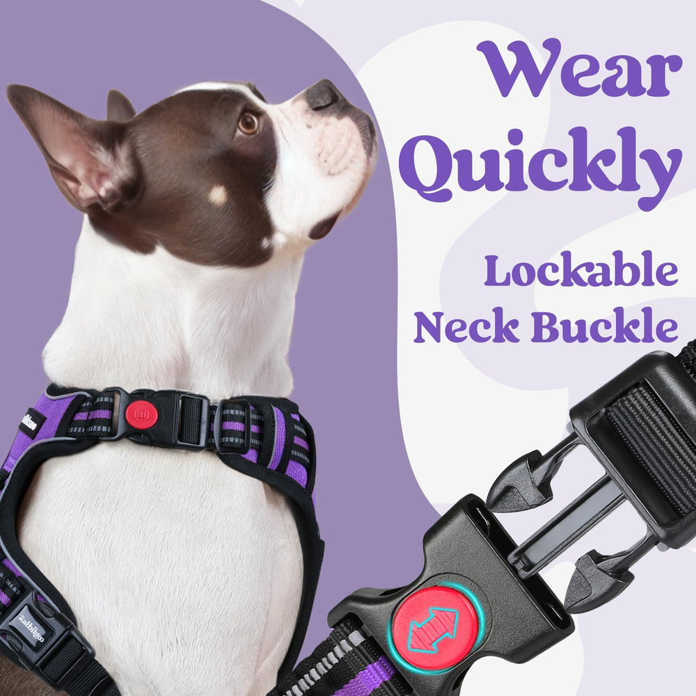 Rabbitgoo arnés grande de puesta rápida, sin pasar por la cabeza del perro