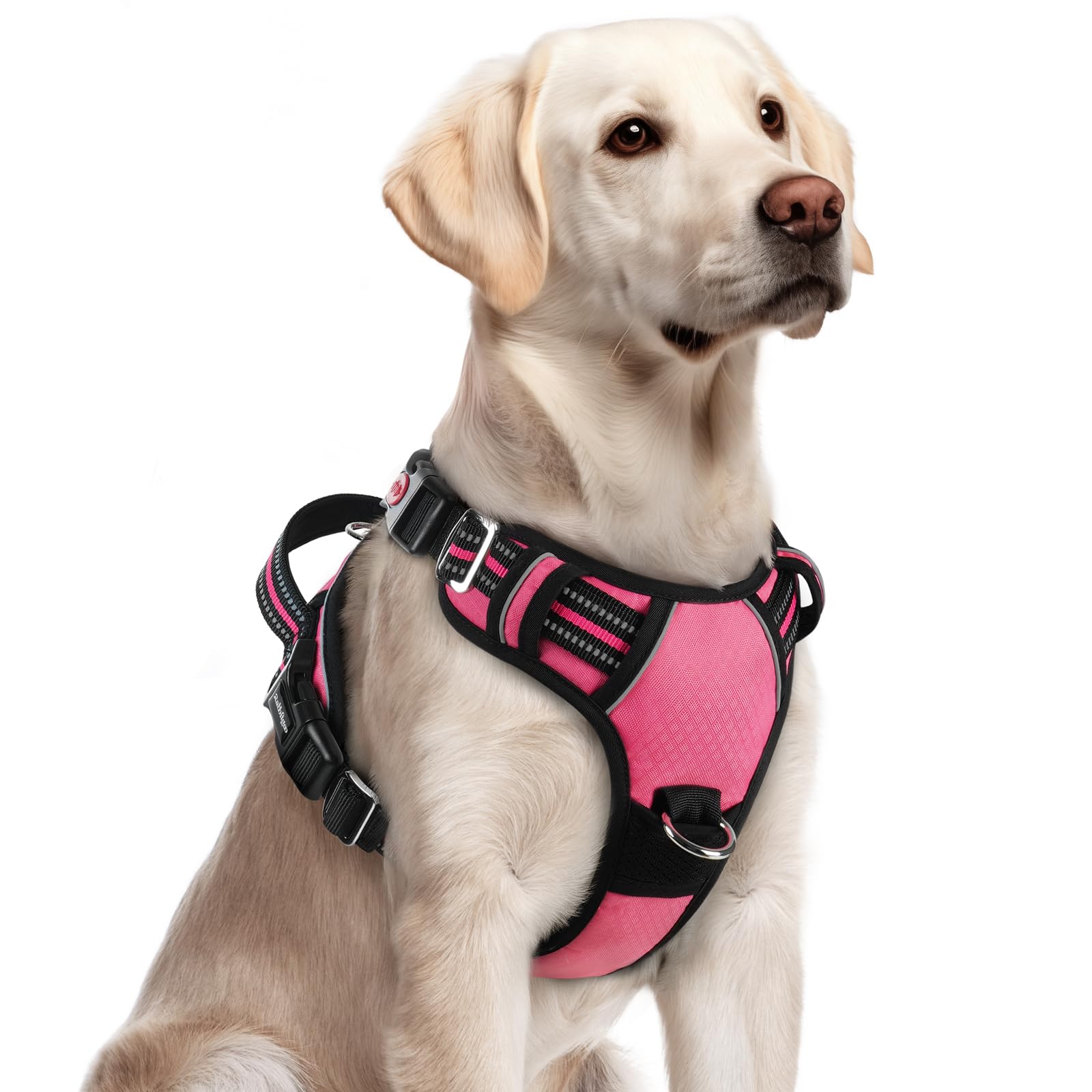 rabbitgoo arnés para perro grande con tres hebillas para ponér rápido y cómodo