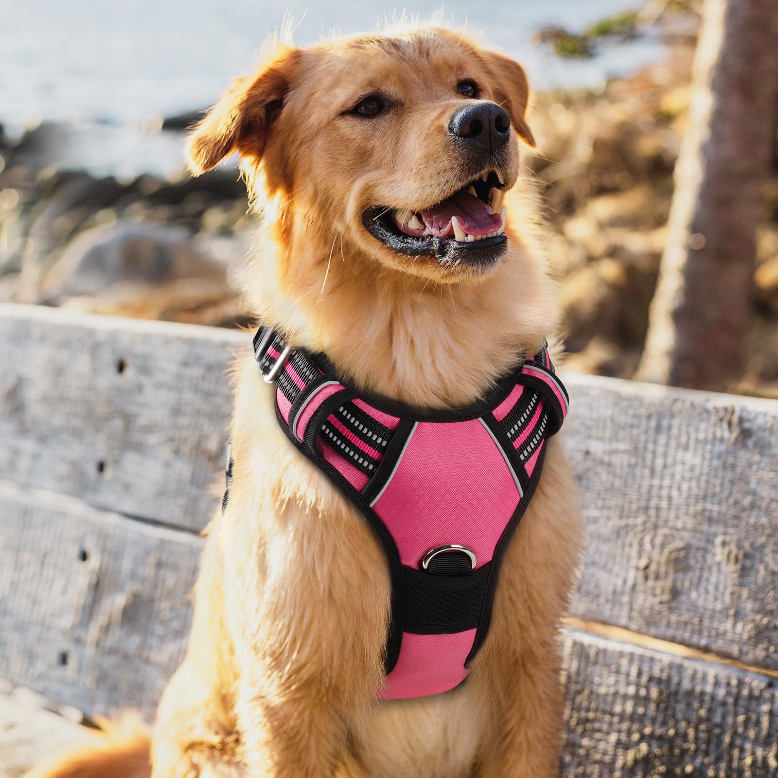 Talla XL rosa para perros grandes y libertad de movimiento