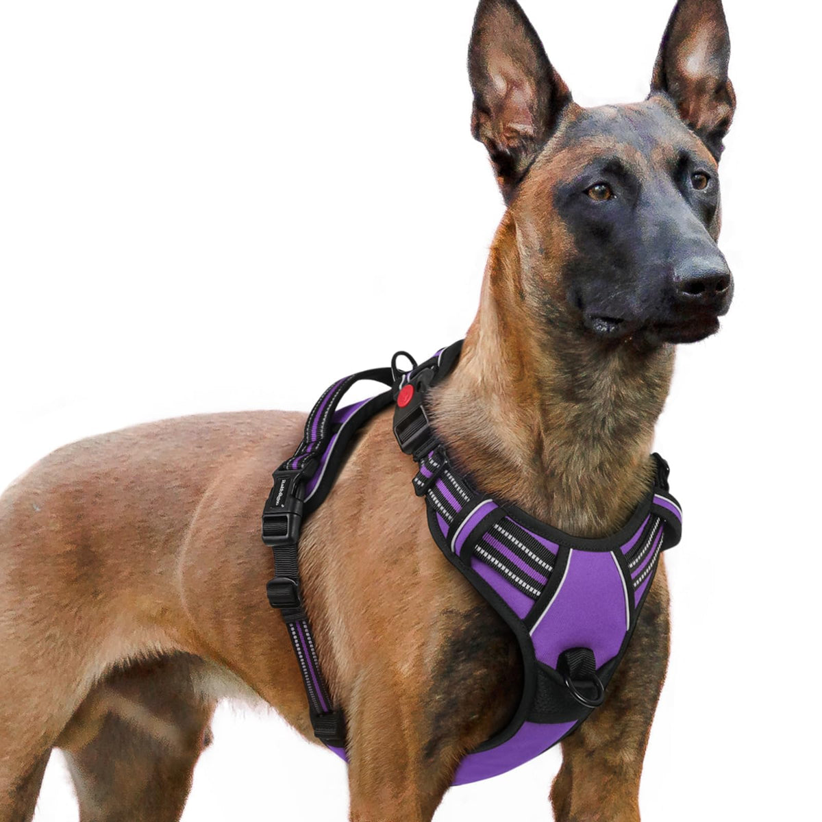 Rabbitgoo arnés para perro grande con tres hebillas, ajuste seguro para paseos diarios