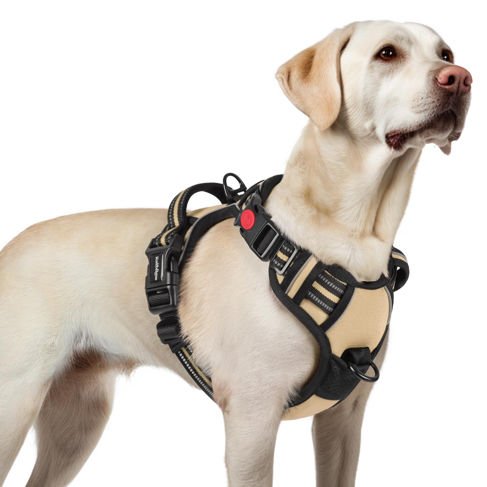 Arnés Rabbitgoo para perro grande con tres hebillas para un ajuste seguro.