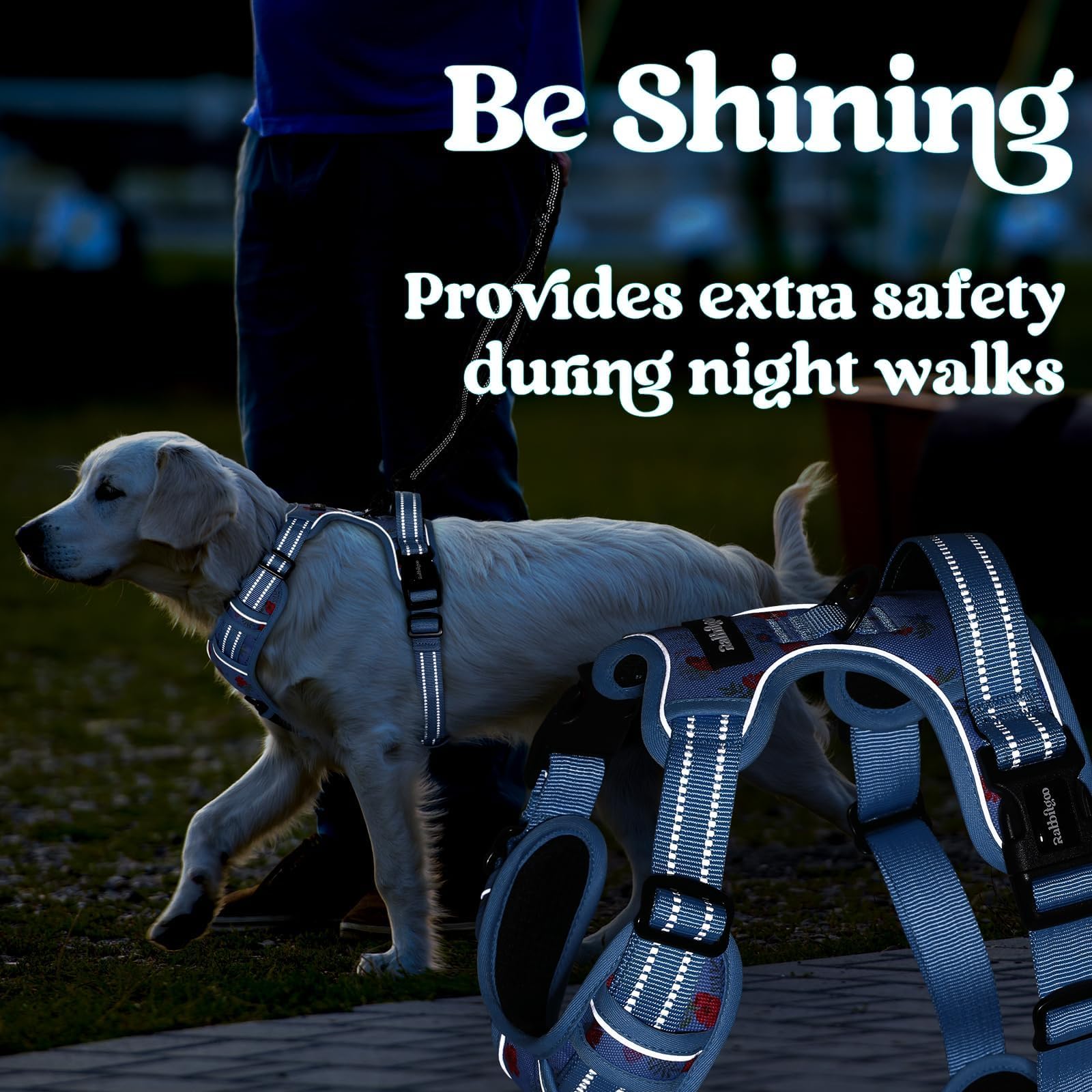 Visibilidad nocturna Rabbitgoo para actividades seguras al anochecer.
