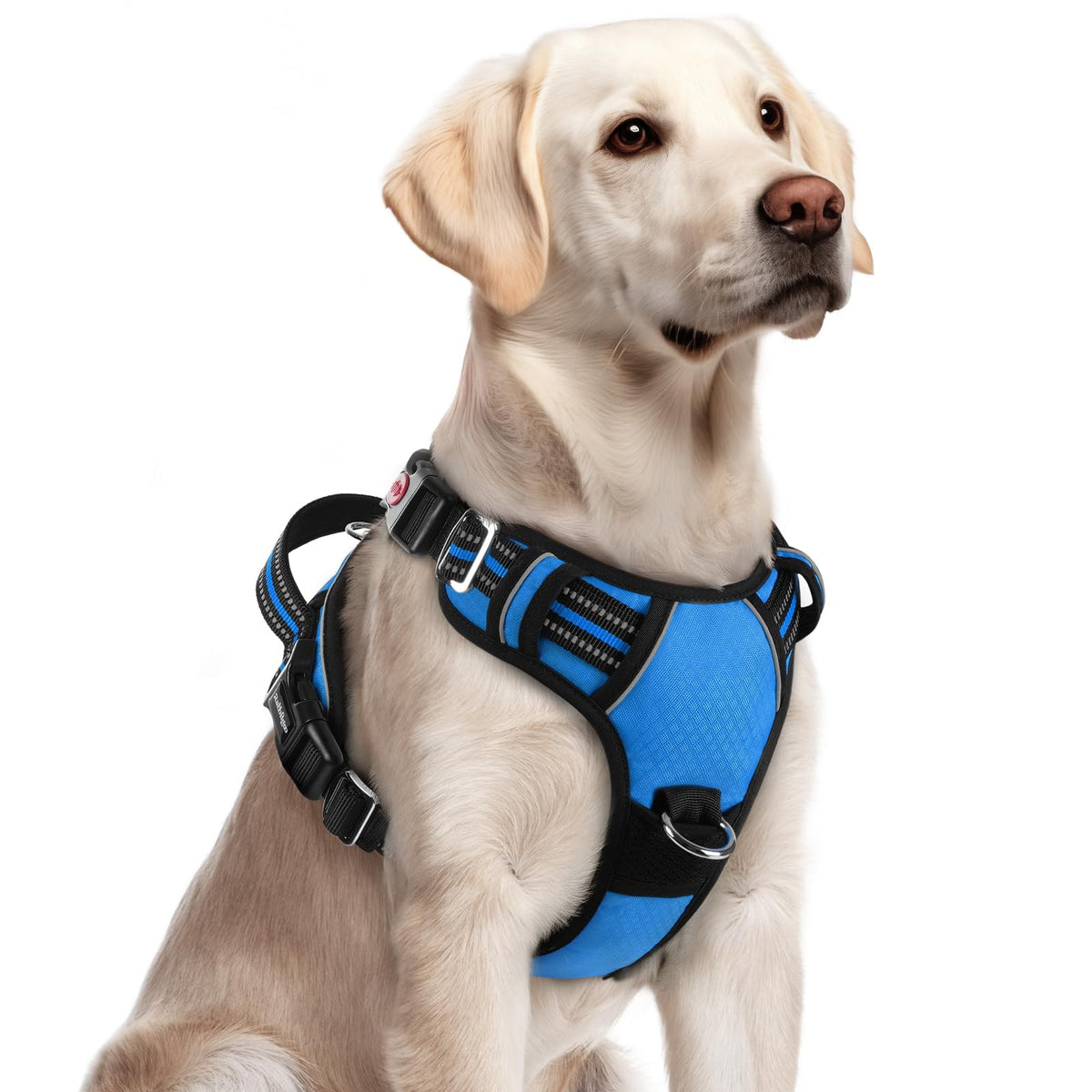Arnés Rabbitgoo para perros grandes con tres hebillas, fácil de colocar.