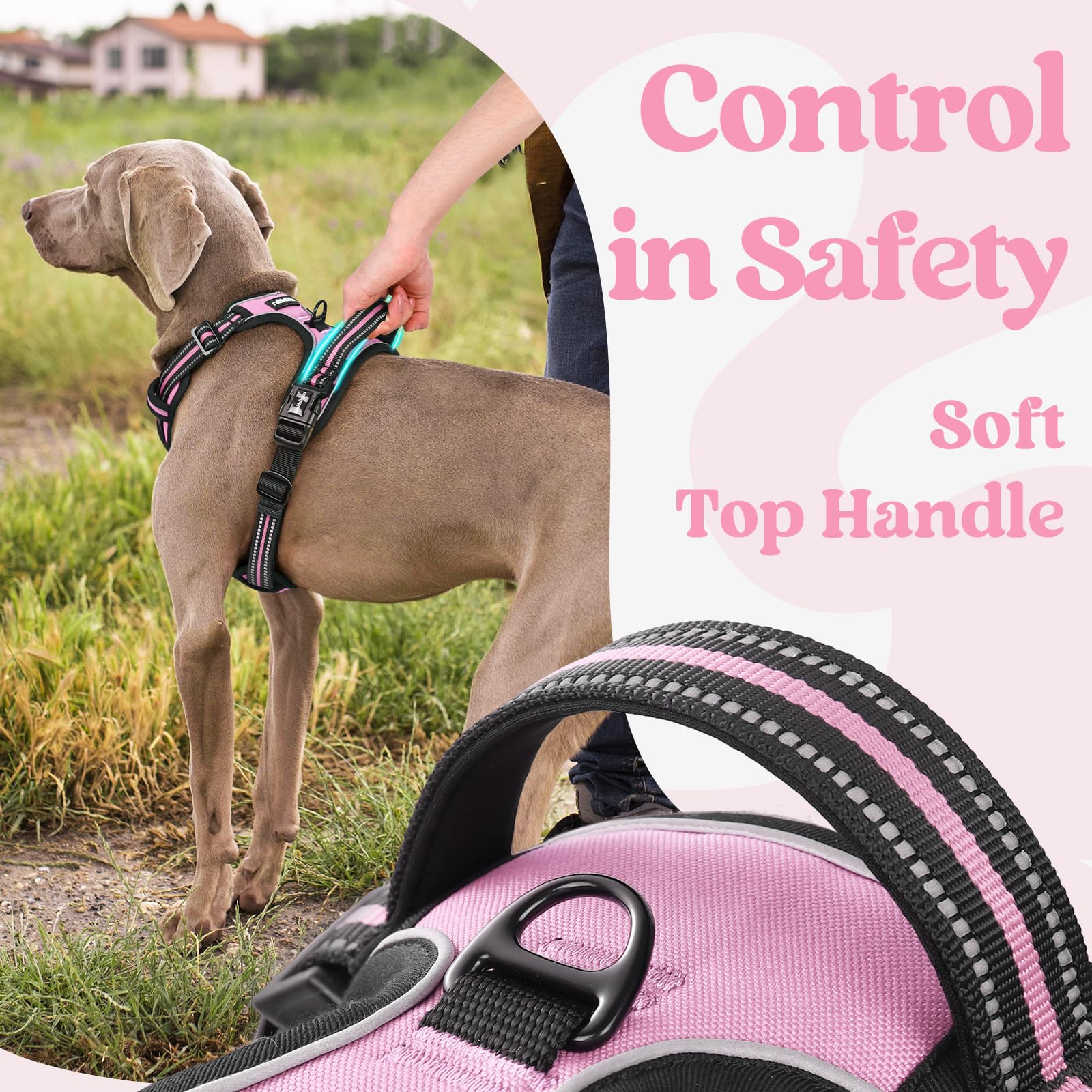 Arnés rabbitgoo mango superior ergonómico facilita control cercano.